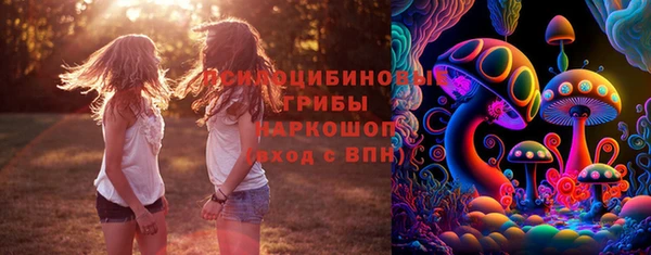 ГАЛЛЮЦИНОГЕННЫЕ ГРИБЫ Новокубанск