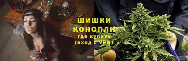 не бодяженный Новозыбков